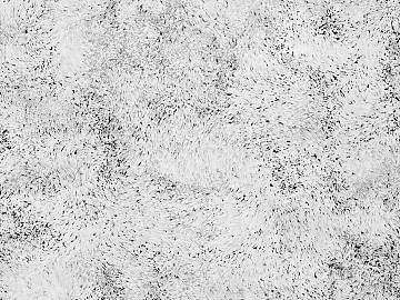 Light gray white pattern art paint wall texture (ID:ffaeh489811)