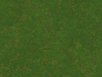 moss texture (ID:ffabg98803)