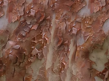 Outdoor wall surface texture (ID:ffaeg76718)