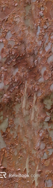 Outdoor wall surface texture