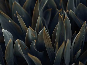 plant pattern texture (ID:ffagg78145)