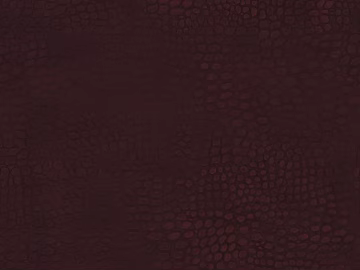 Coarse-grain leather texture (ID:ffaeg27203)