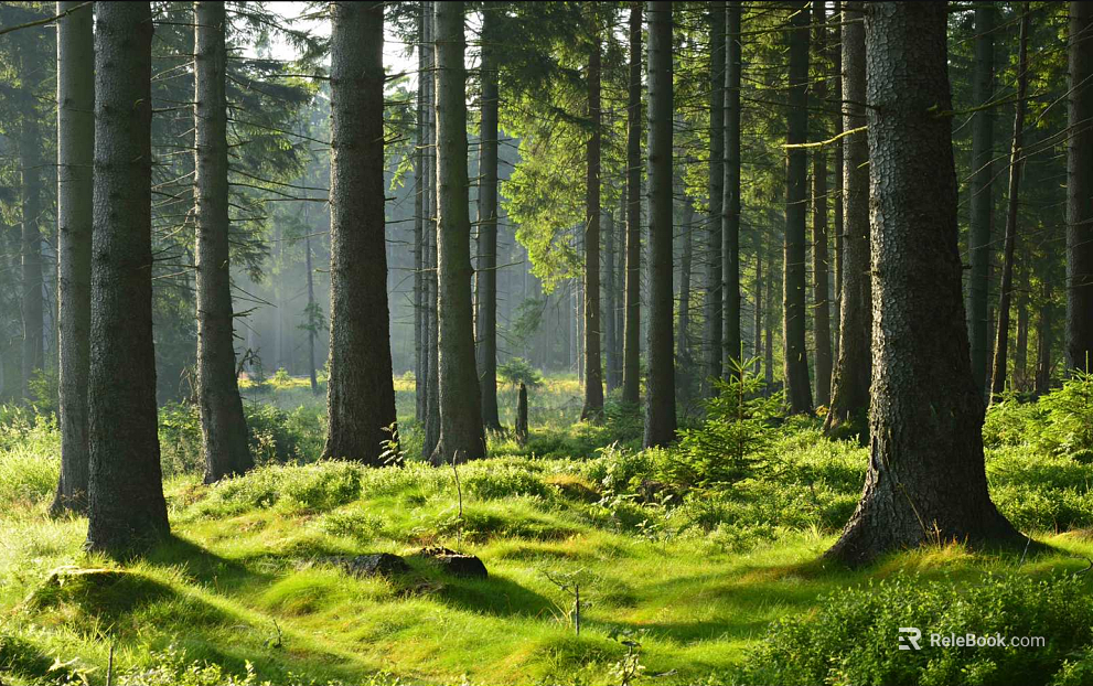 Wild Scenery texture