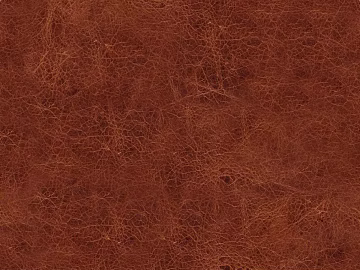 Coarse-grain leather texture (ID:ffagg77045)