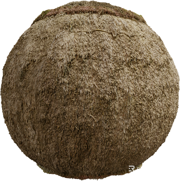 Thatched Roof PBR texture