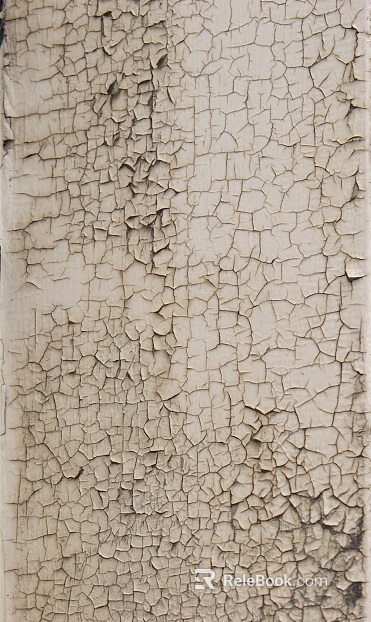 Wall texture
