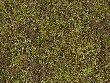 Turf texture (ID:ffaeh429756)