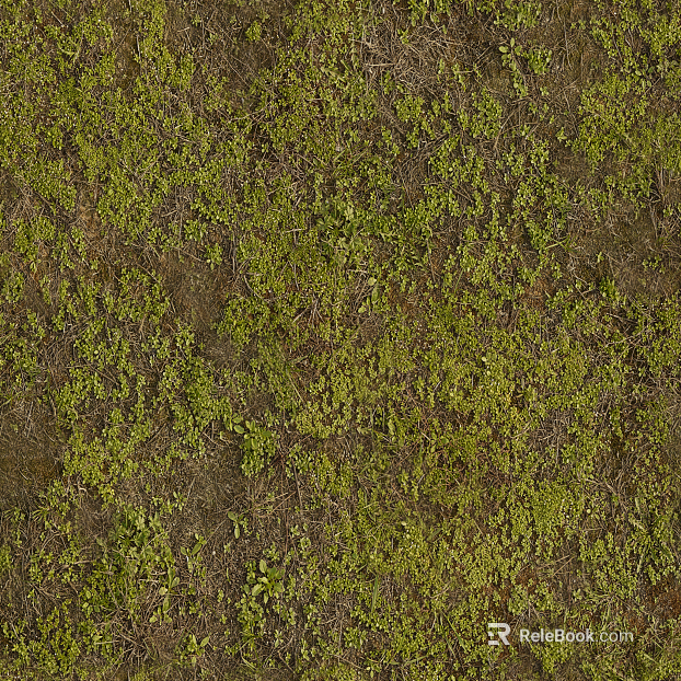 Turf texture