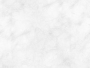 Coarse-grain leather texture (ID:ffaef0449)