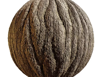 East Asian Bark PBR texture (ID:ffach993124)