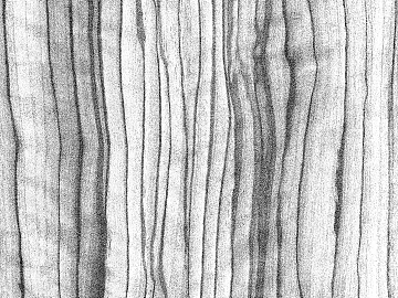 Black and White Bump texture (ID:ffaag99796)