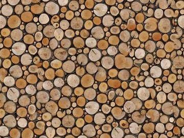 Trunk texture (ID:ffaaf7696)