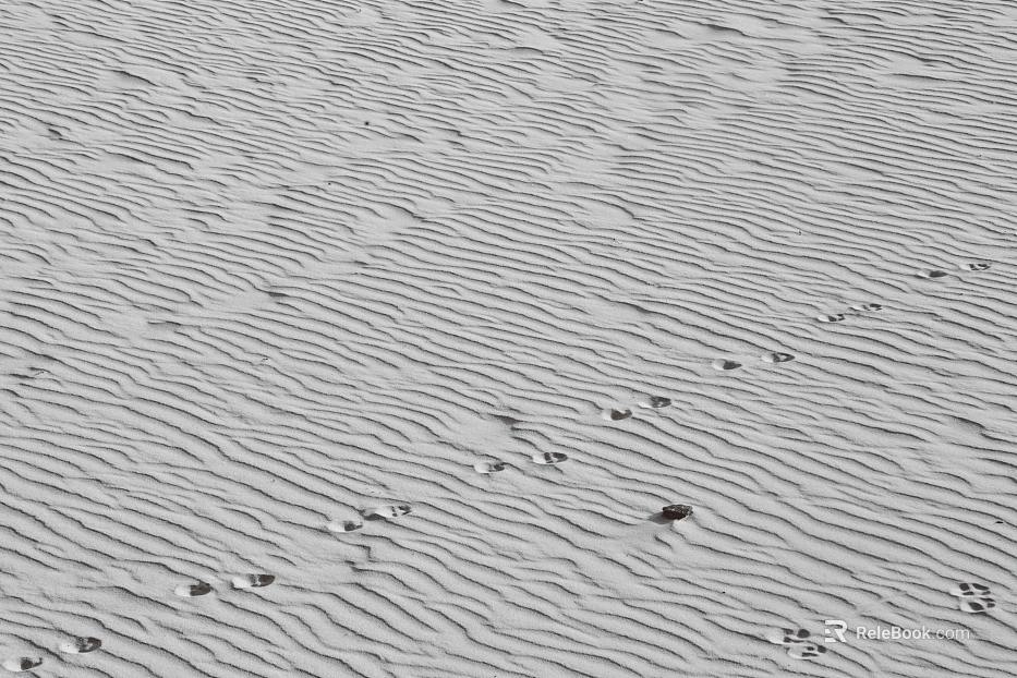 Black and White Bump texture