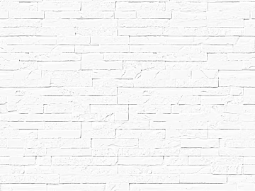 Black and White Bump 3d model