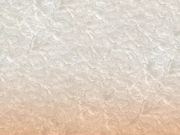 orange gradient shellfish texture (ID:ffach325218)