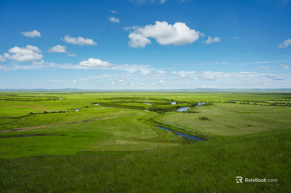 Grassland blue sky and white clouds scenery texture