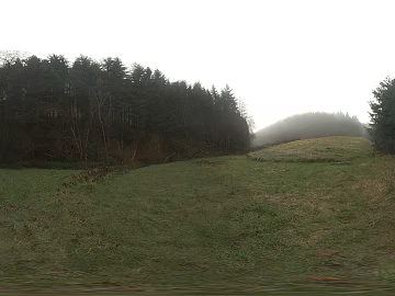 Outdoor Meadow Woods Daytime HDR texture (ID:ffabg14731)