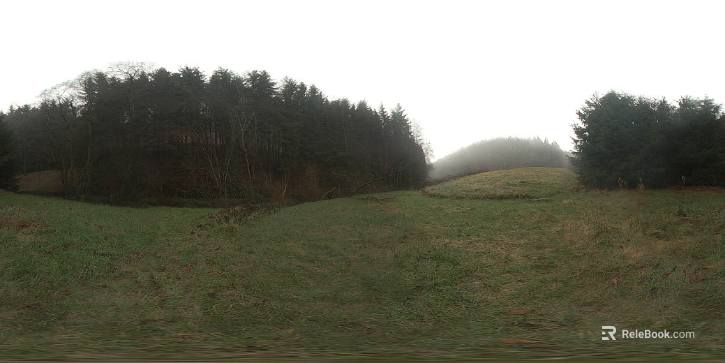 Outdoor Meadow Woods Daytime HDR texture