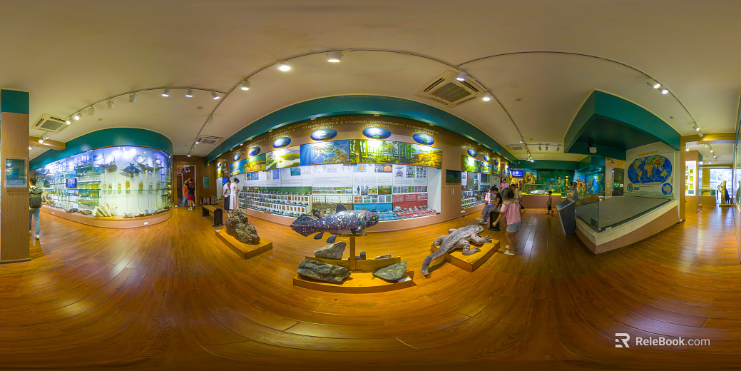Venue Exhibitions texture