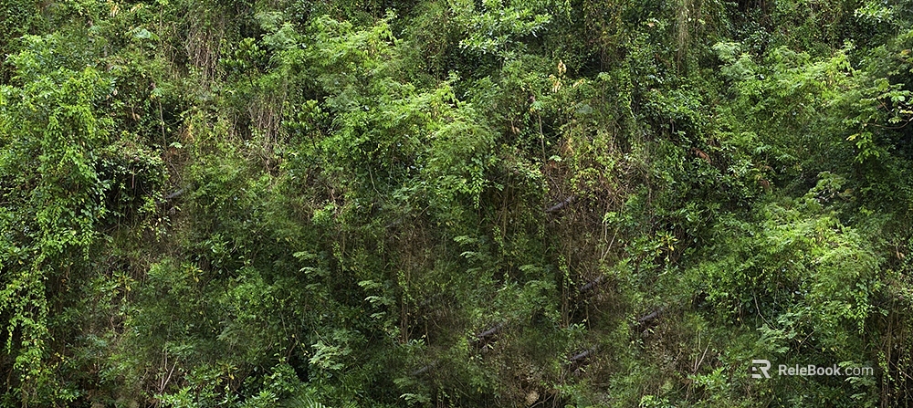 Emerald Vine Outdoor Green Plant Wall texture