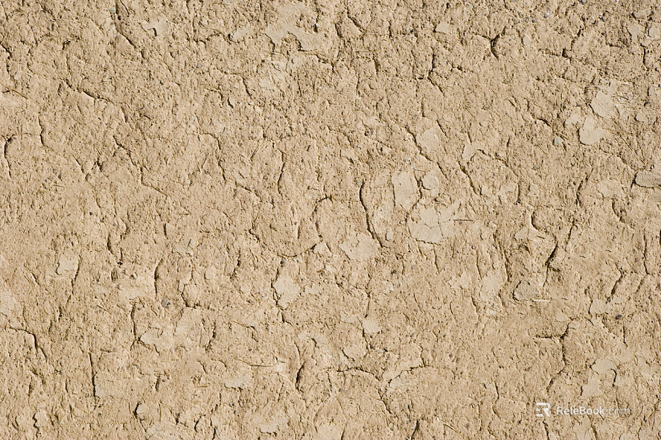 Mud texture
