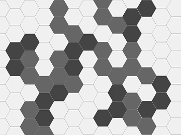 Hexagonal Brick Black Edge Geometric Floor Tile texture (ID:ffaeg83754)