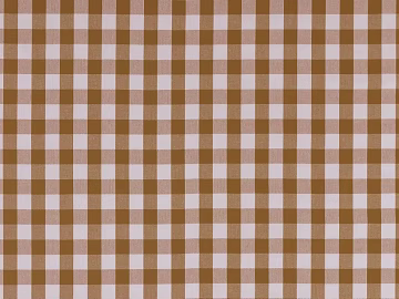 Plaid 3d model