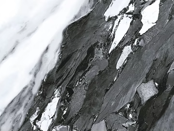 marble black and white flower artificial stone texture (ID:ffabg14071)