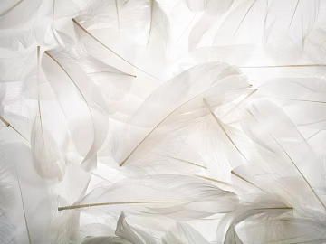 Pattern Wallpaper texture (ID:ffaeg49908)