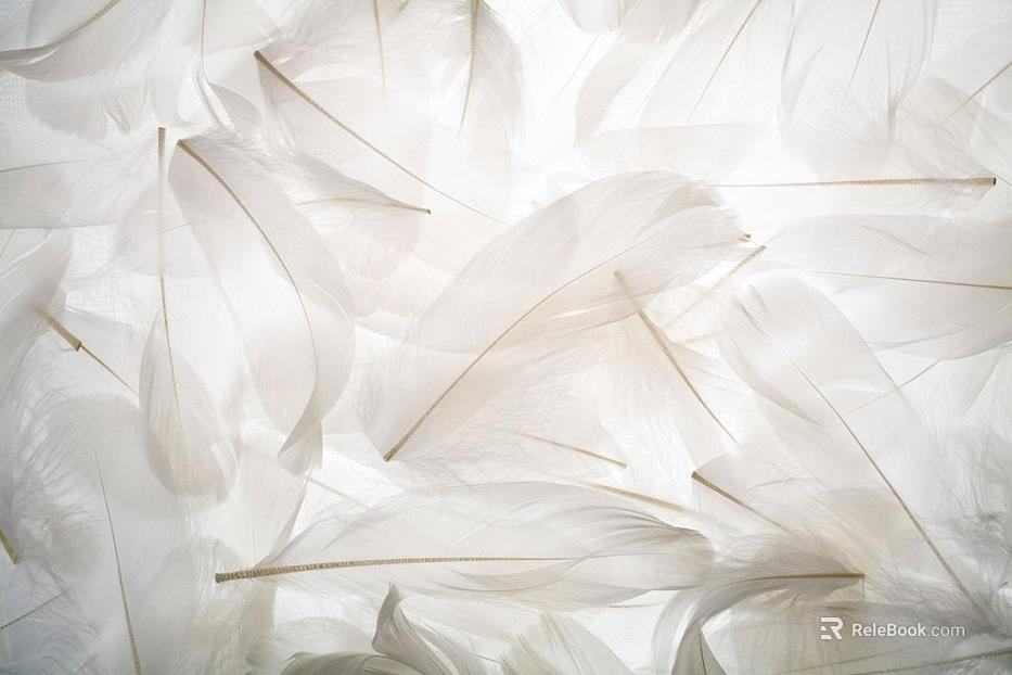 Pattern Wallpaper texture