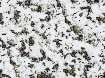 Ground-Snow texture (ID:ffhbe999)