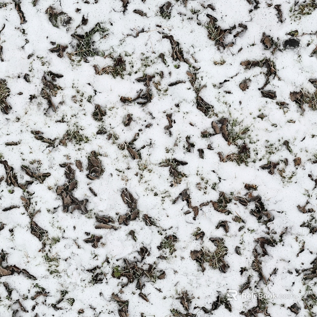 Ground-Snow texture