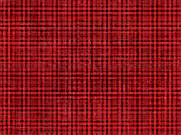 Red and black check fabric clothing fabric 3d model