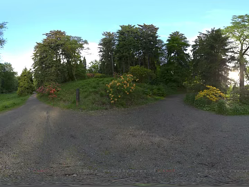 Field texture (ID:ffabg98681)