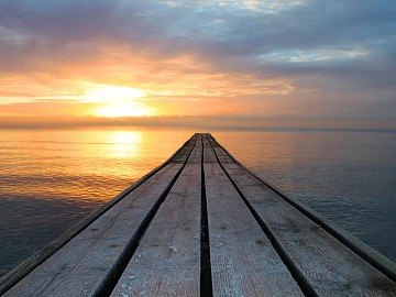 Wild Scenery texture (ID:ffaeg31687)