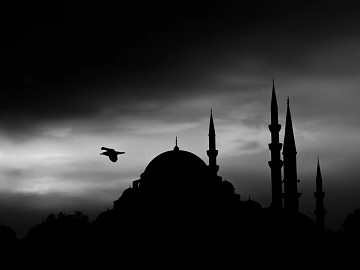 black and white painting texture (ID:ffacg83217)