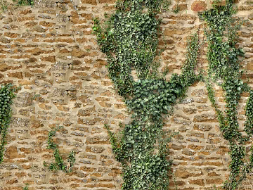 Old and Damaged Outdoor Building Rock Stone Wall Tile texture (ID:ffach775411)