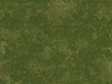 Turf 3d model