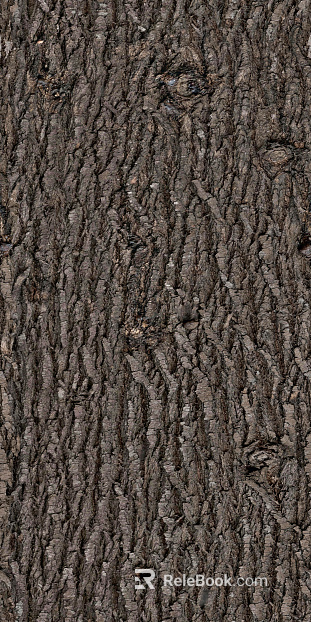 bark texture
