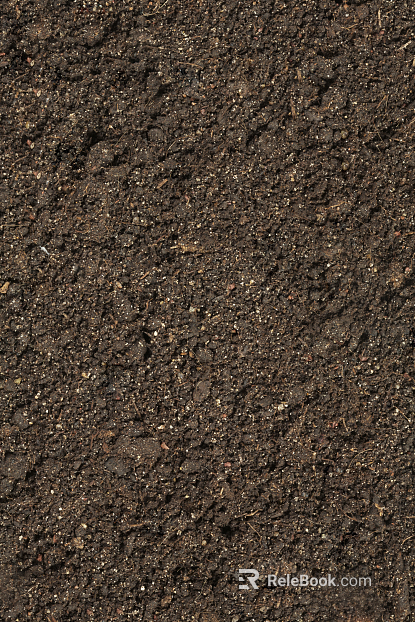 Mud texture