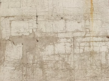 Cement wall yellowing wall 3d model