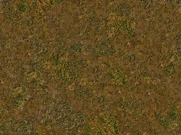 Lawn texture (ID:ffaeh886726)
