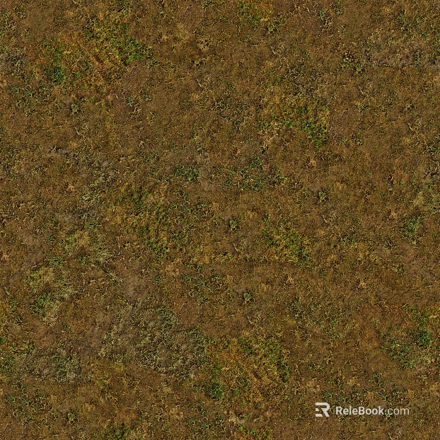 Lawn texture