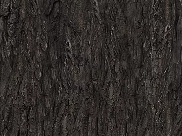 bark texture (ID:ffacg57118)