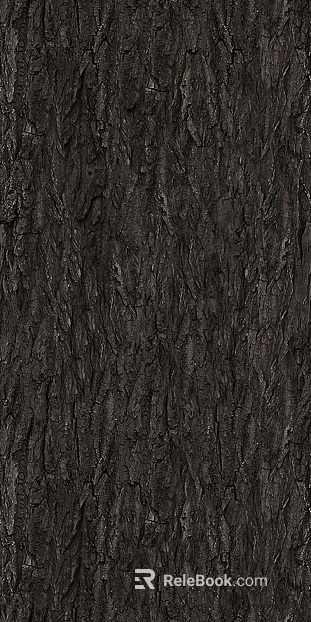 bark texture
