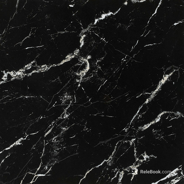 Mesh Pattern Marble Black and White Marble Luxury Stone texture