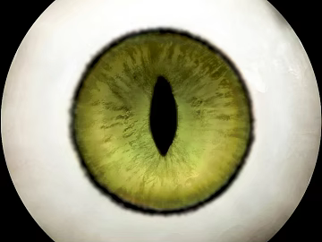 Eyes texture (ID:ffagg64840)