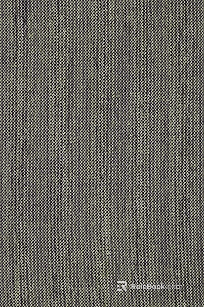plain cloth texture
