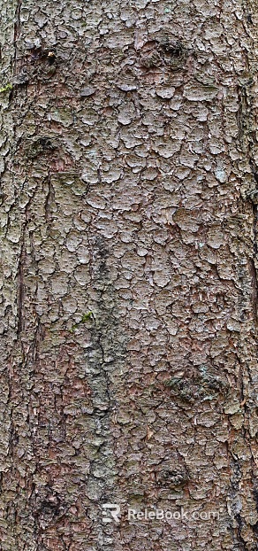 bark texture