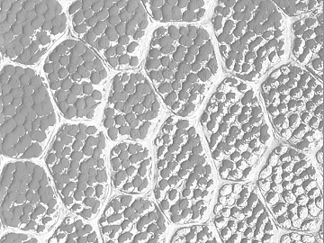 three-dimensional physical painting texture (ID:ffaeg16251)